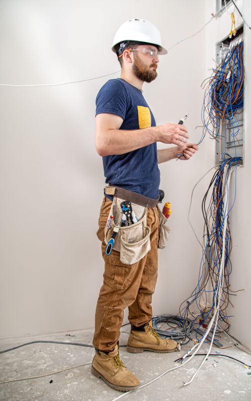 Homeowner Consulting an Electrician